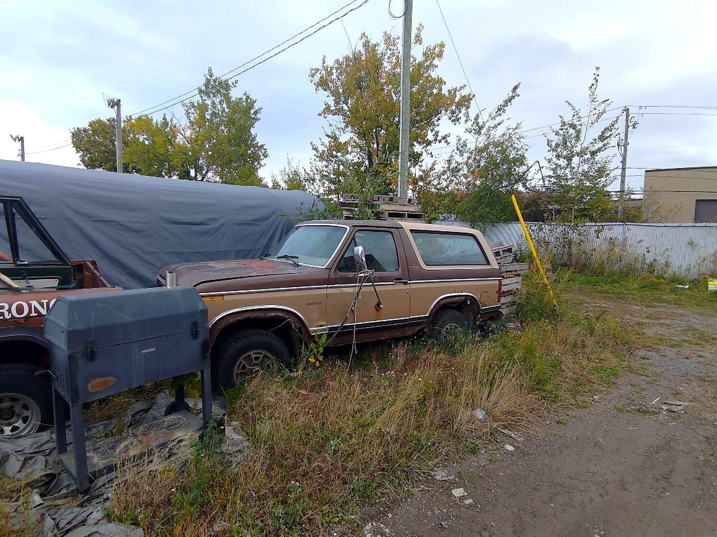 Ford Bronco brun et beige des années 1980 dans un terrain herbeux, avant restauration
